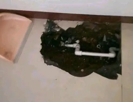 四方台卫生间测漏水多少钱